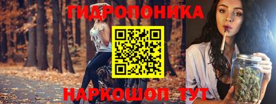 мяу мяу мука Кандалакша