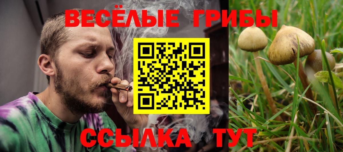 Людиново  Псилоцибиновые грибы GOLDEN TEACHER  Вход с VPN 